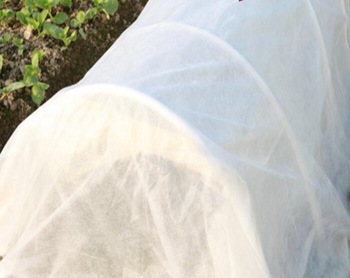 水稻無紡布產品細節(jié)圖