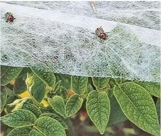 農(nóng)用無(wú)紡布需要抗老化處理嗎?